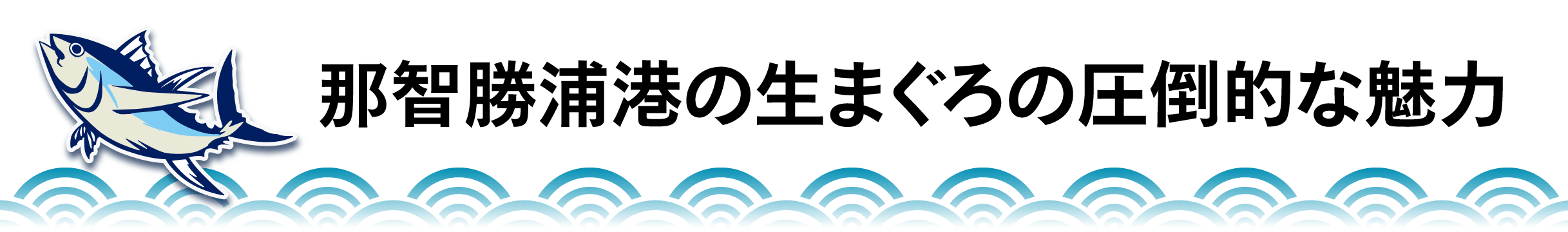 那智勝浦港の生まぐろの圧倒的な魅力