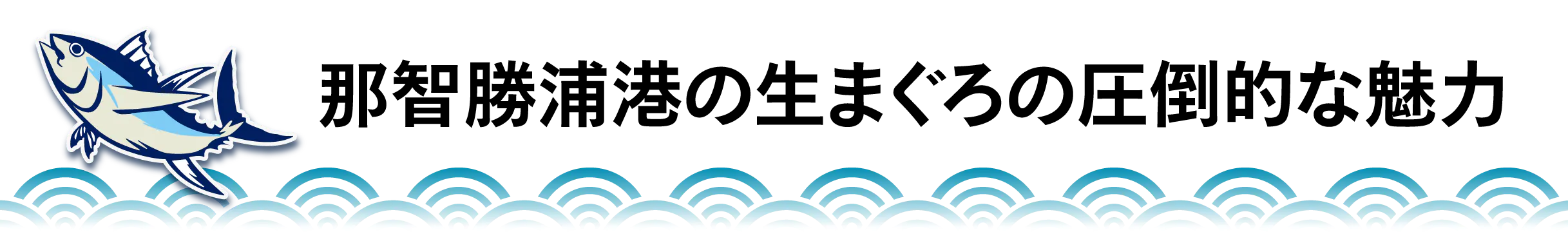 那智勝浦港の生まぐろの圧倒的な魅力