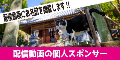 広報さんの大冒険！part.2！猫DVD撮影の旅！ ～私を石垣島へ連れてって