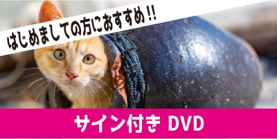 広報さんの大冒険！part.2！猫DVD撮影の旅！ ～私を石垣島へ連れてって