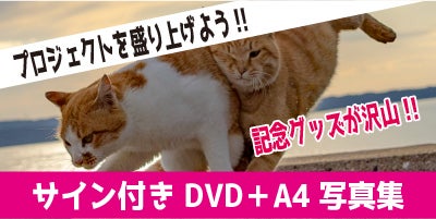 広報さんの大冒険！part.2！猫DVD撮影の旅！ ～私を石垣島へ連れてって