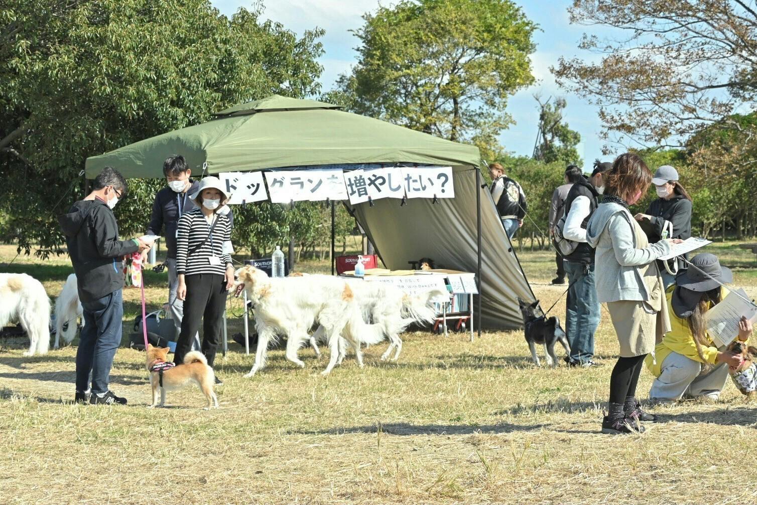 ☆アンケートの様子