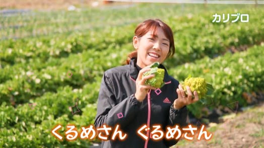 24歳新規就農若手農家 野菜で本当に肌に優しい石鹸をつくる Campfire キャンプファイヤー 24歳新規就農若手農家 野菜で本当に肌に優しい石鹸をつくる Campfire キャンプファイヤー