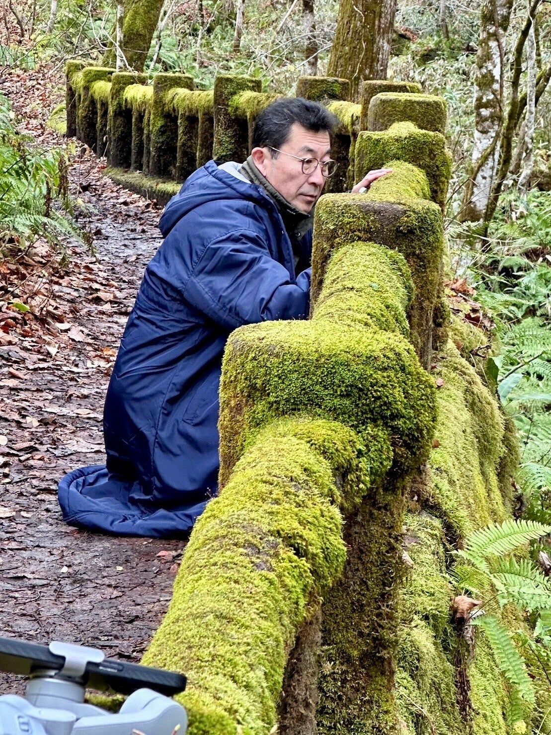 天然の苔を″枯れない苔″に特殊保存加工する開発に成功！山縣健志、新た