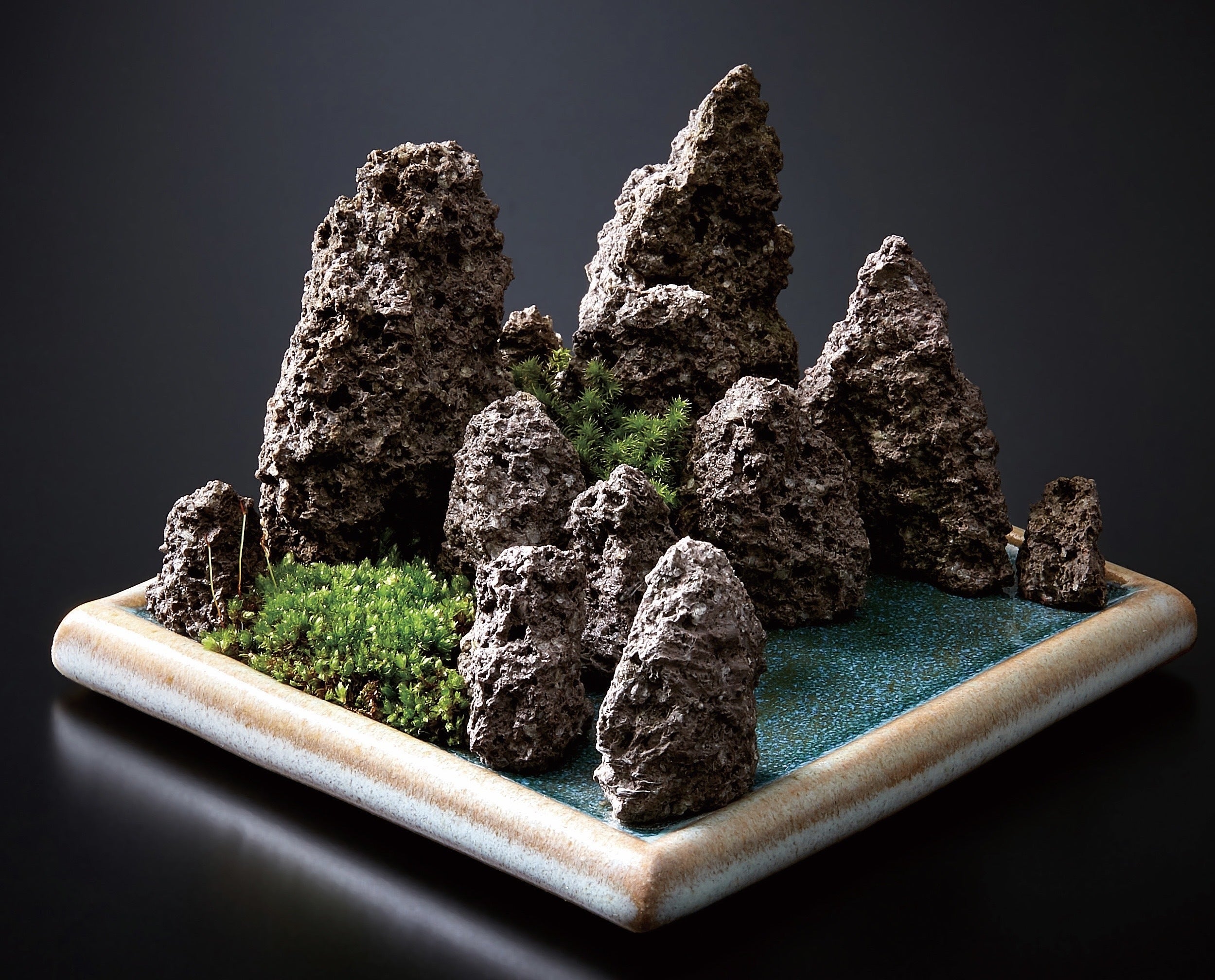 天然の苔を″枯れない苔″に特殊保存加工する開発に成功！山縣健志、新た