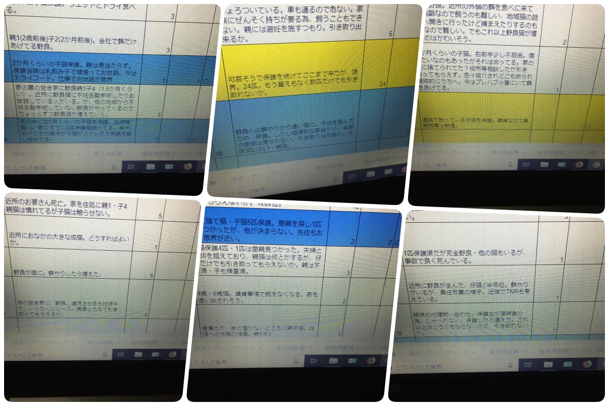 廃校再活用プロジェクト 猫部屋を増設し頭数制限を増やします Campfire キャンプファイヤー 廃校再活用プロジェクト 猫部屋を増設し頭数制限を増やします Campfire キャンプファイヤー