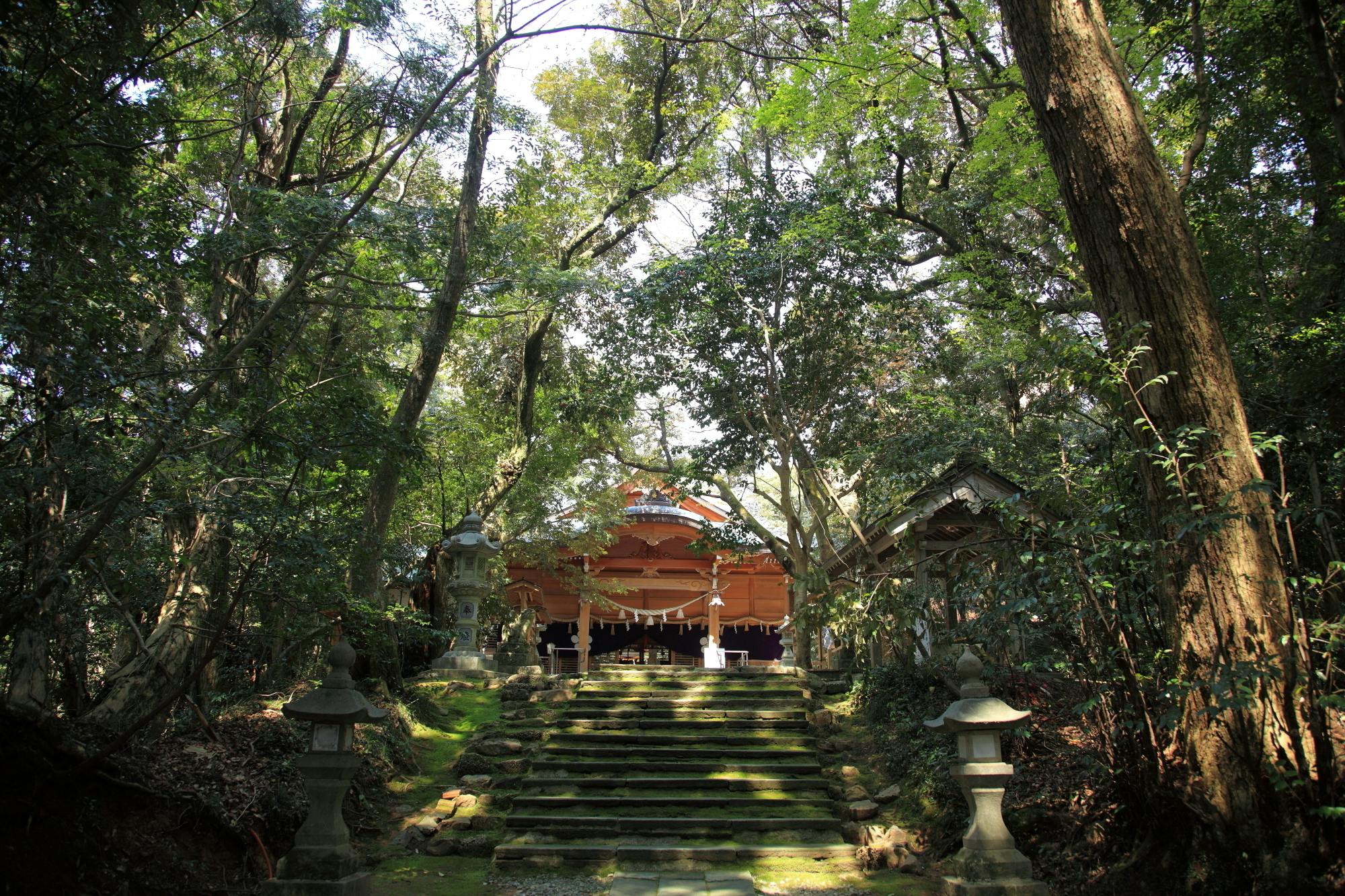 須須（すず）神社の再建」と、それを核とした奥能登の「地域づくり」に