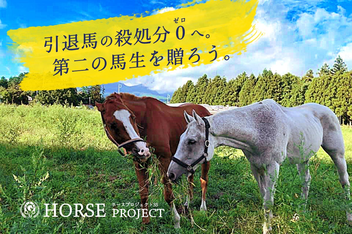 コスモを救おう 馬房増築費用や治療費のお願い Campfire キャンプファイヤー コスモを救おう 馬房増築費用や治療費のお願い Campfire キャンプファイヤー
