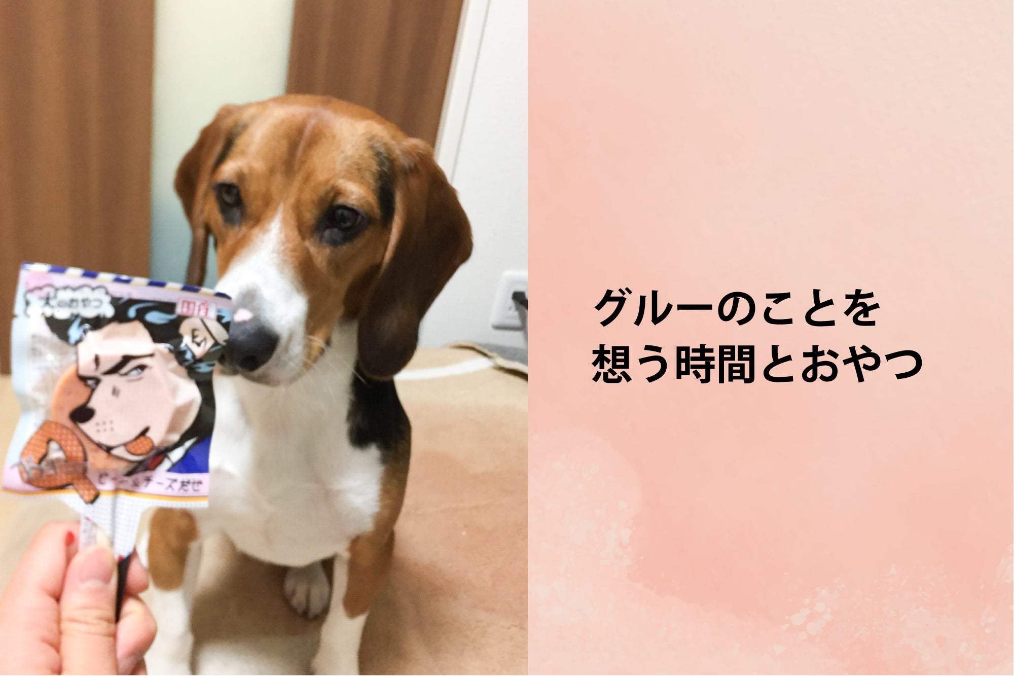 お肉マニアが作った！わんちゃんのための心を癒す『鹿肉ジャーキー』が