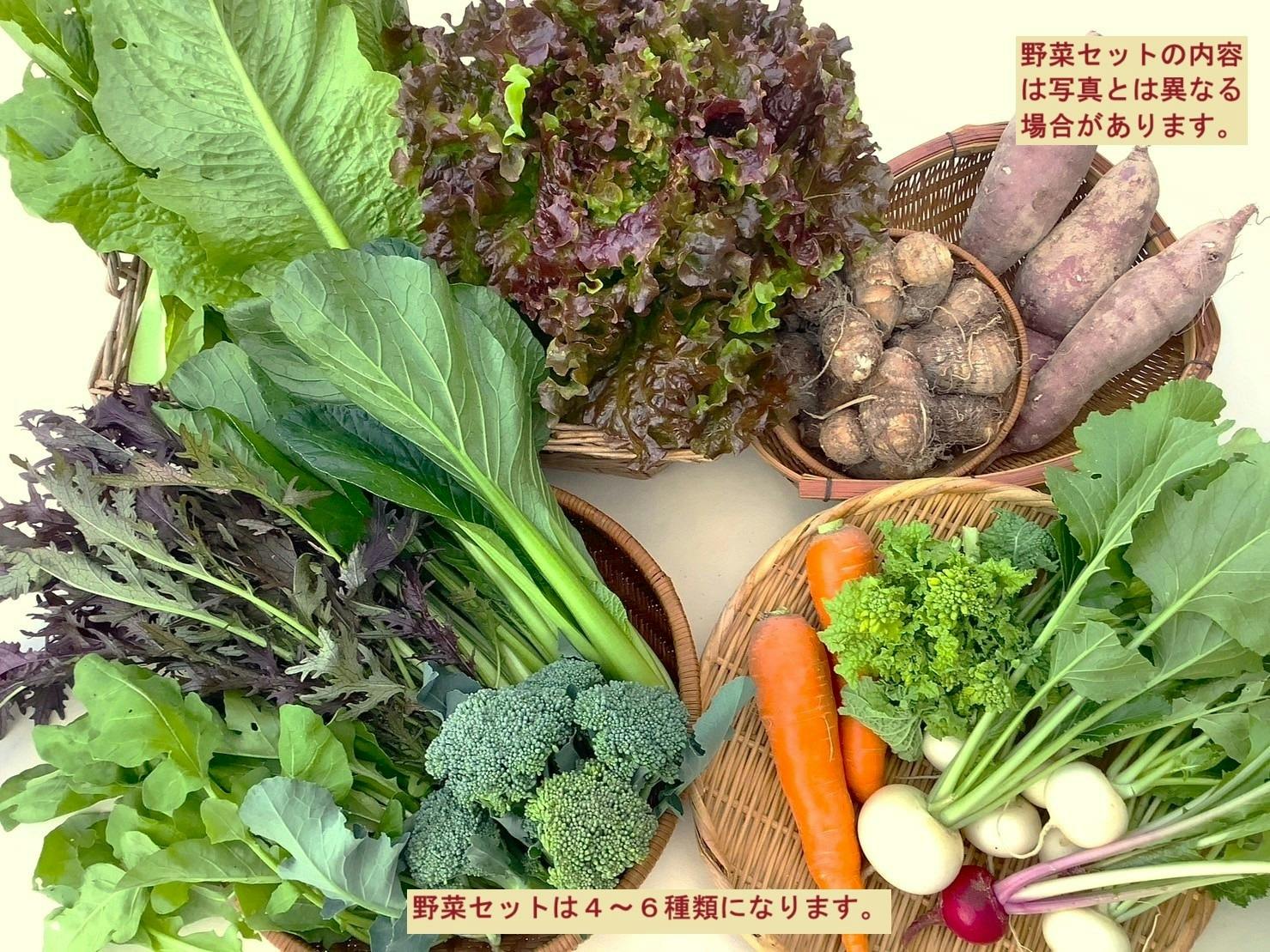 即買い歓迎！野菜詰め合わせ！Sサイズ使い切りサイズ玉ねぎ15個前後 - 野菜