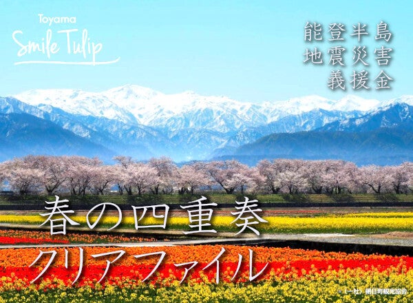 富山のチューリップで、能登半島地震災害義援金を集めたい - CAMPFIRE