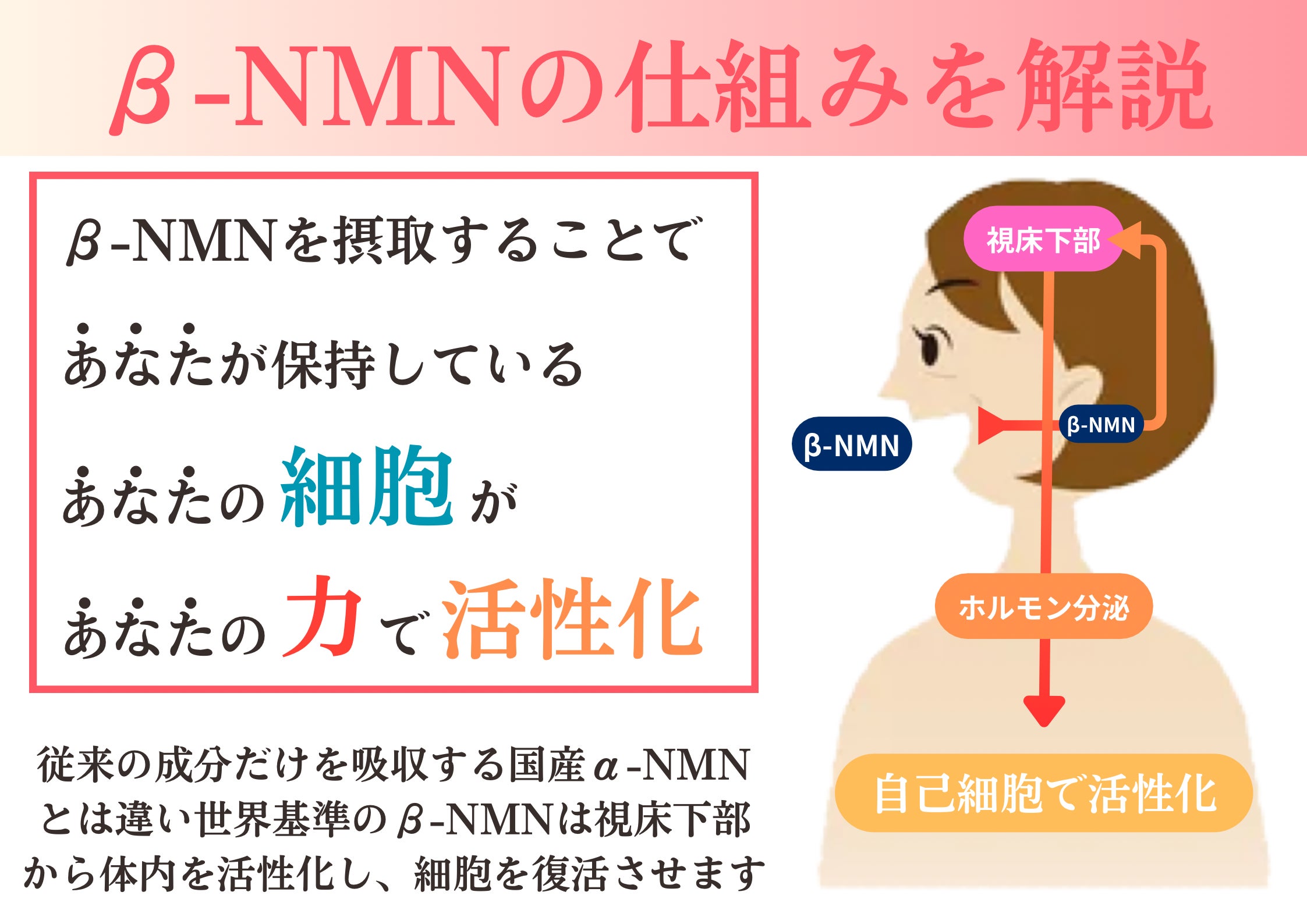 0F040E10-AD09-401E-A69B-C3A9CCD7BB0A.png