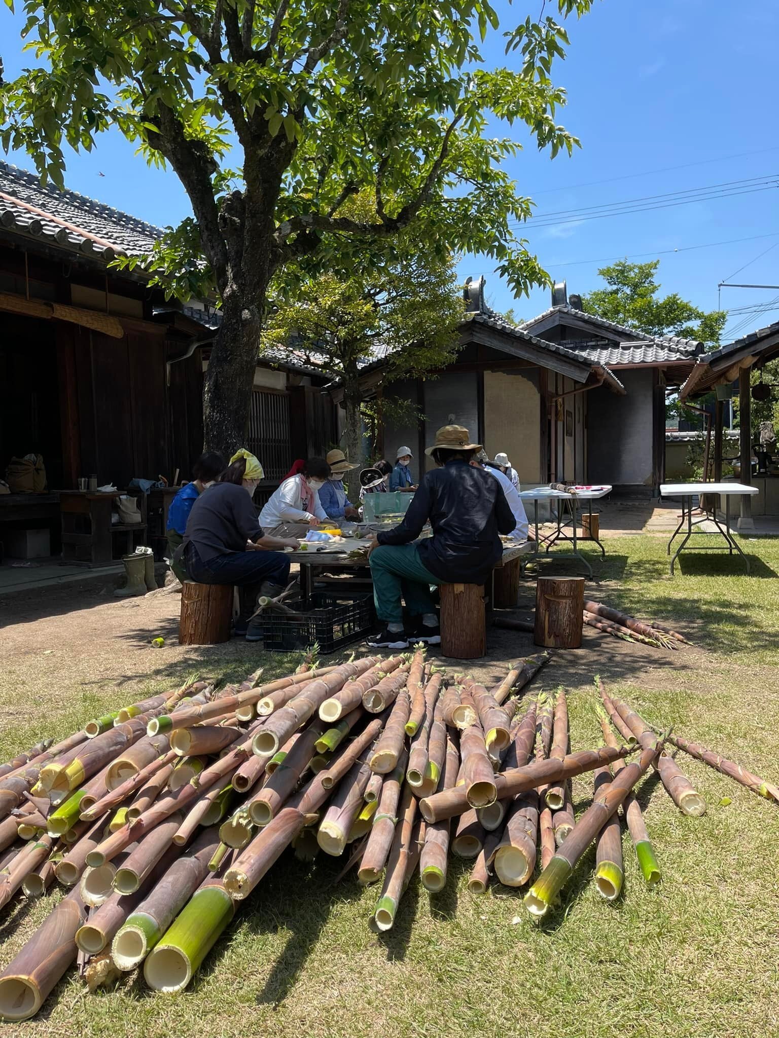 放置竹林は宝の山!竹林整備から、美味しい、楽しい、役に立つモノを作りたい! - CAMPFIRE (キャンプファイヤー)