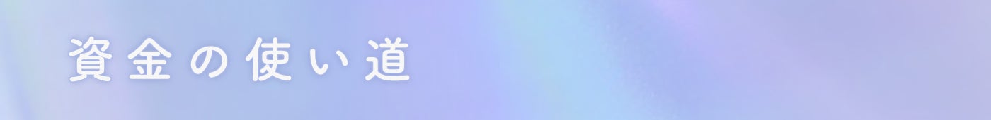資金の使い道