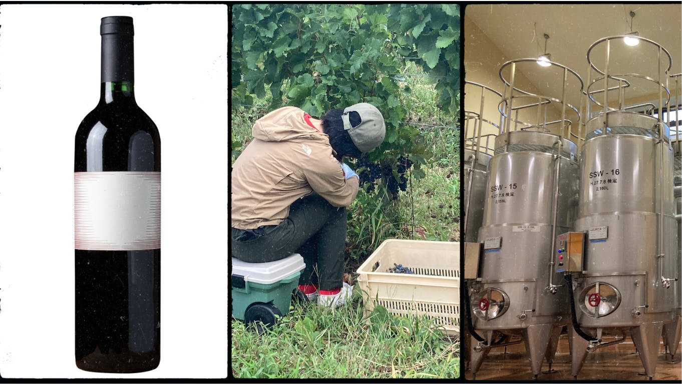 信州を舞台に「ブドウ栽培とワインづくりを本気で遊ぶ」10か月間の体験 