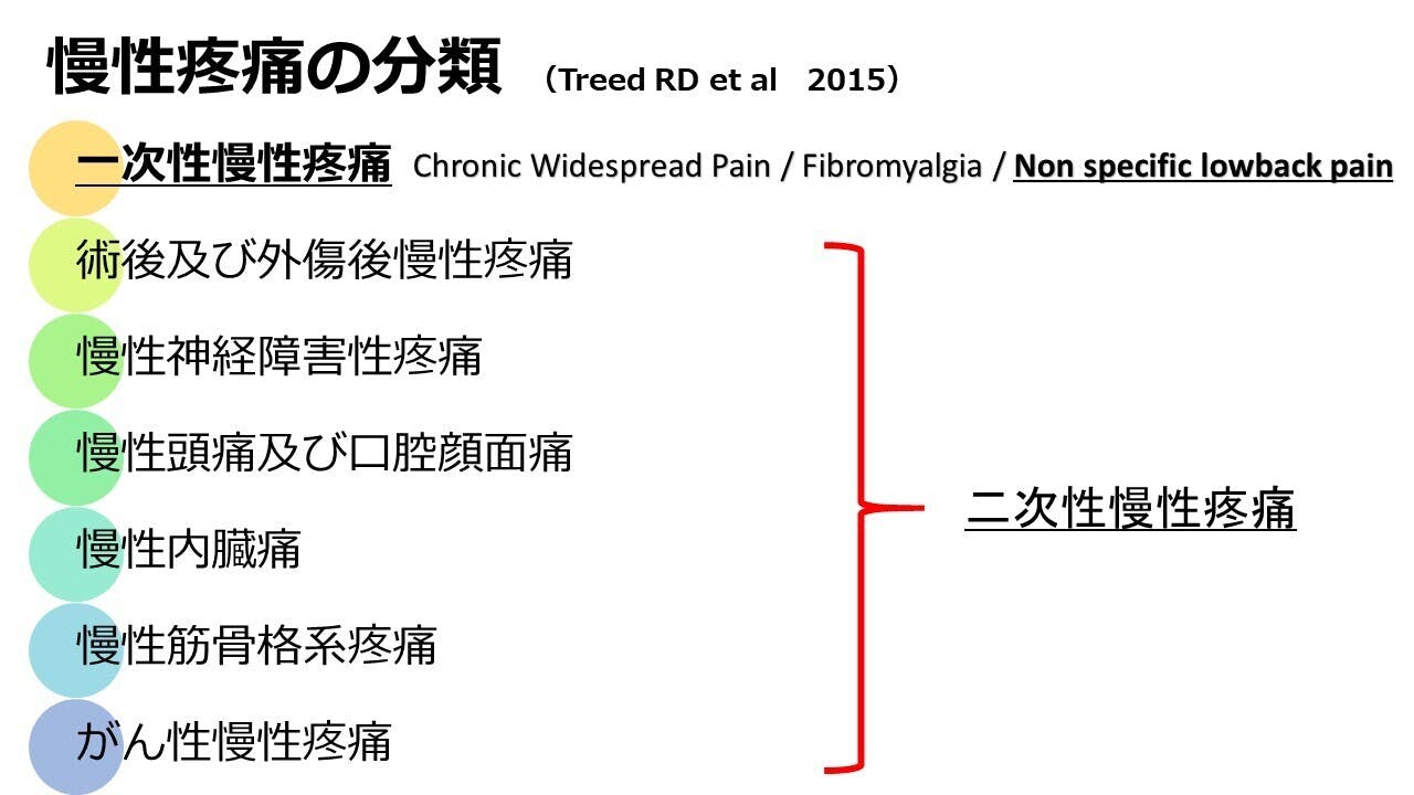 慢性疼痛治療ガイドライン - 健康・医学