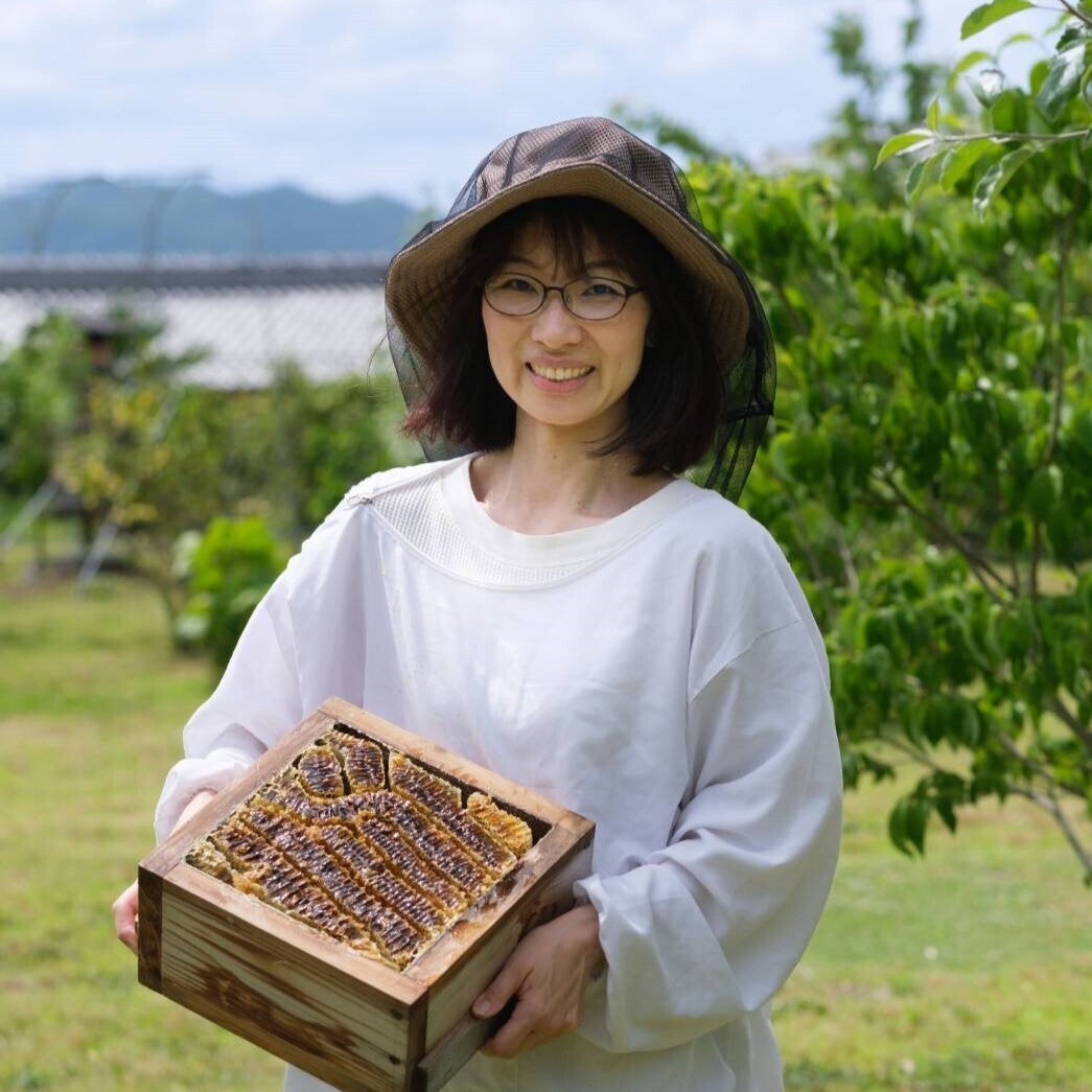 国内自給率1％未満！京都のニホンミツバチから採れた生はちみつを食べ