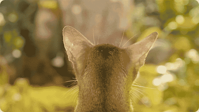 自然!安心!湧き出る流水が愛猫の健康を守る!エルフィン給水器 自然!安心!湧き出る流水が愛猫の健康を守る!エルフィン給水器