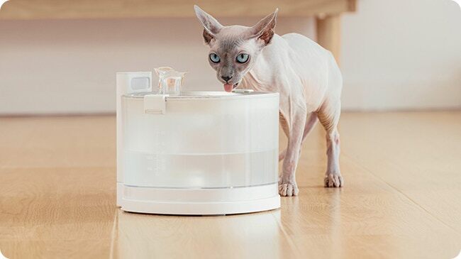 自然！安心！湧き出る流水が愛猫の健康を守る！エルフィン給水器