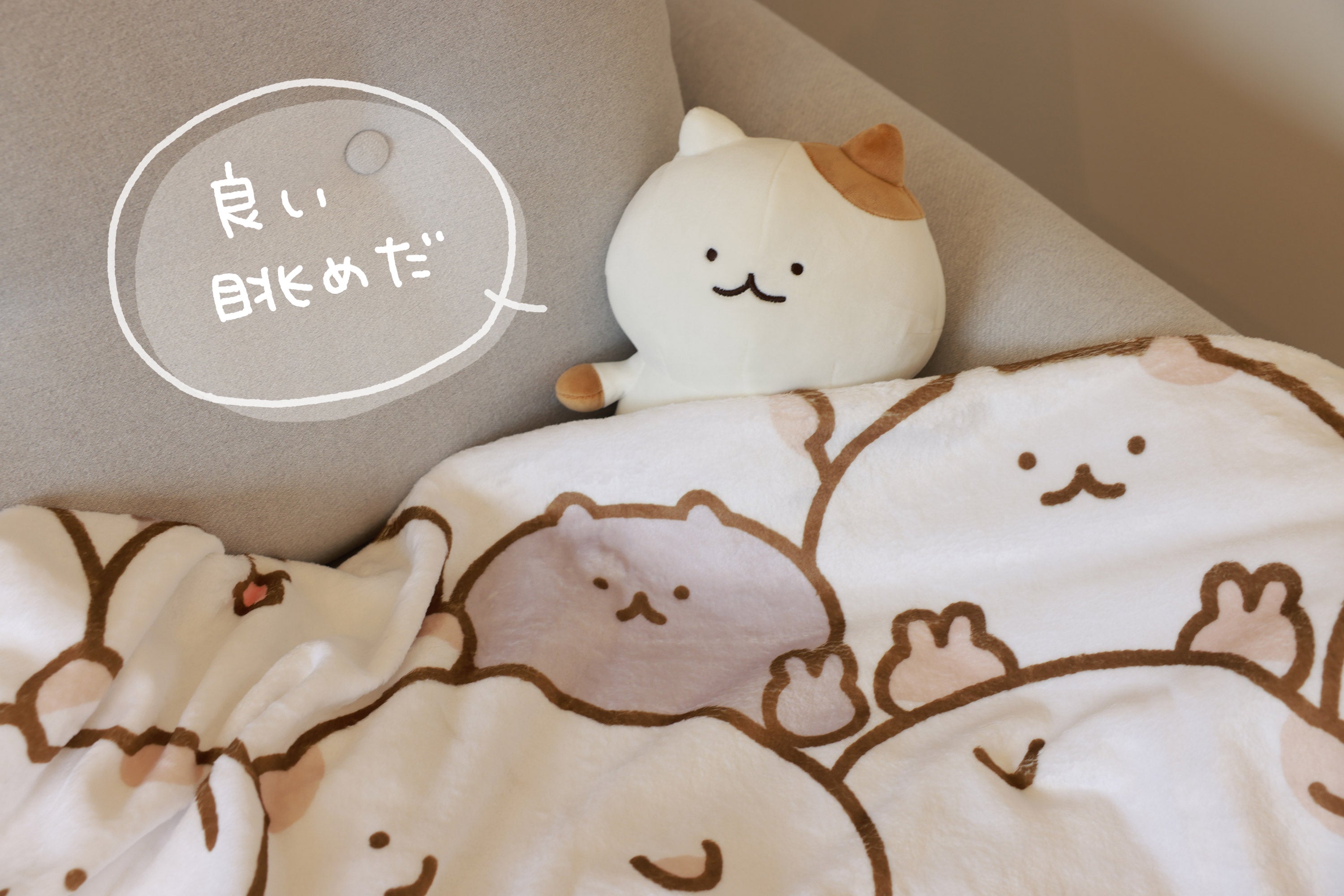 ねこブランケットプロジェクト - CAMPFIRE (キャンプファイヤー)