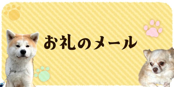 ペット オファー 預かり お礼