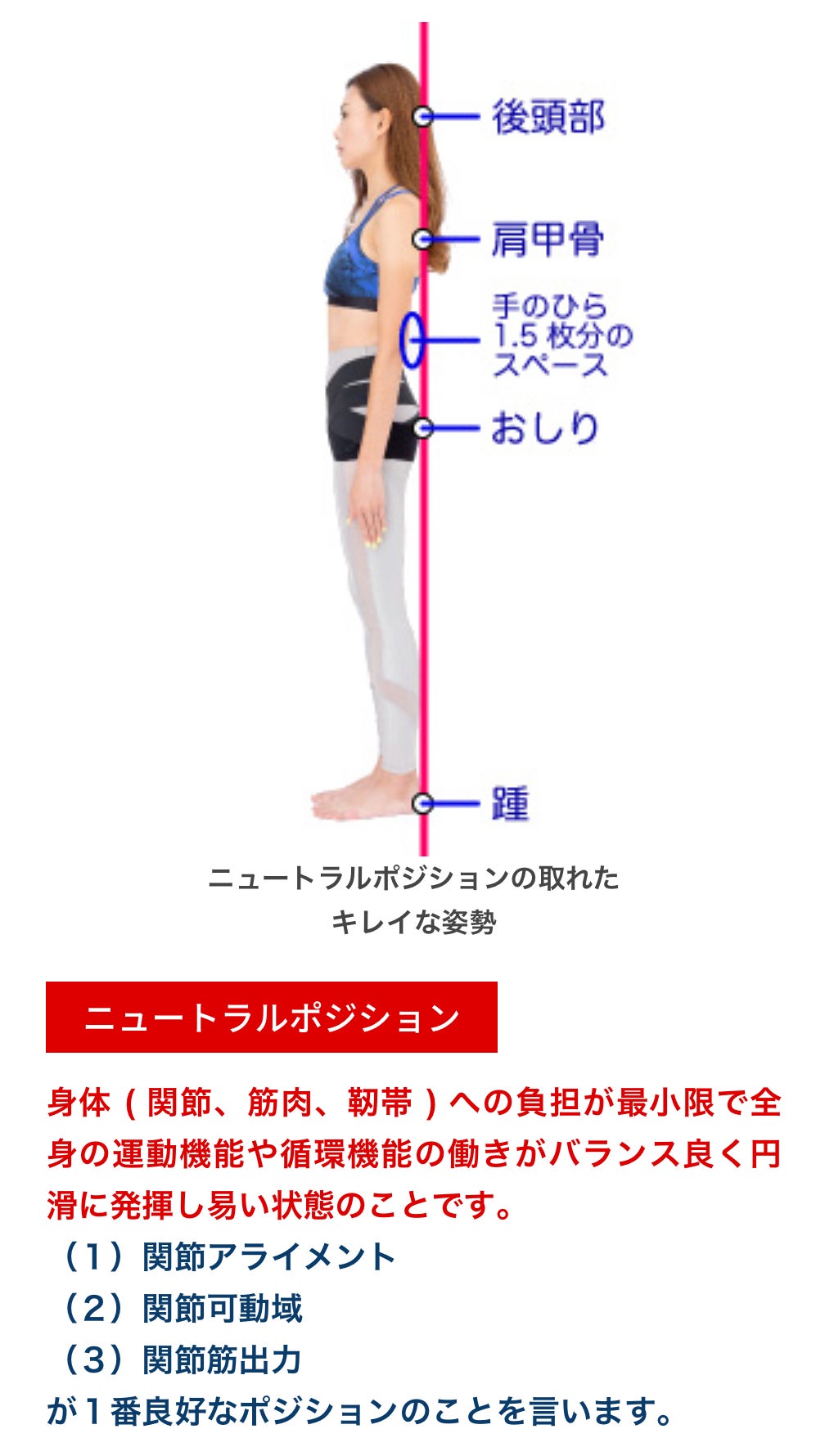 全く新しい『骨盤ベルトPelvis』を多くの人に使って健康になってもらい
