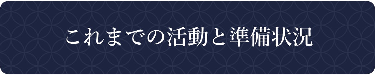 これまでの活動と準備状況