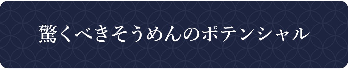 驚くべきそめんのポテンシャル