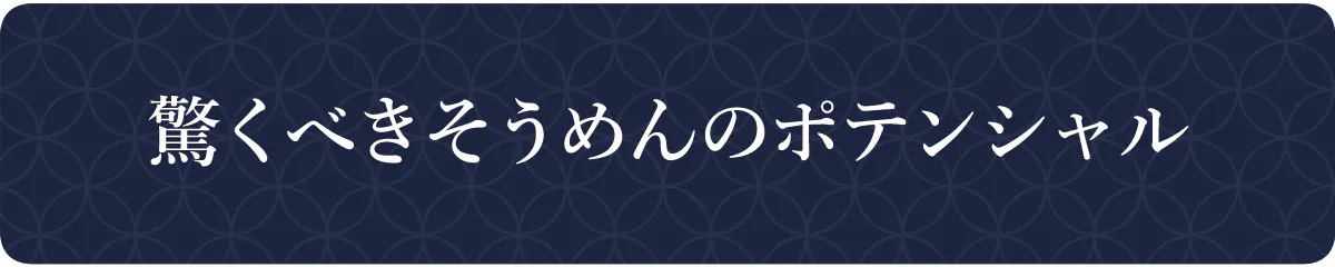 驚くべきそめんのポテンシャル
