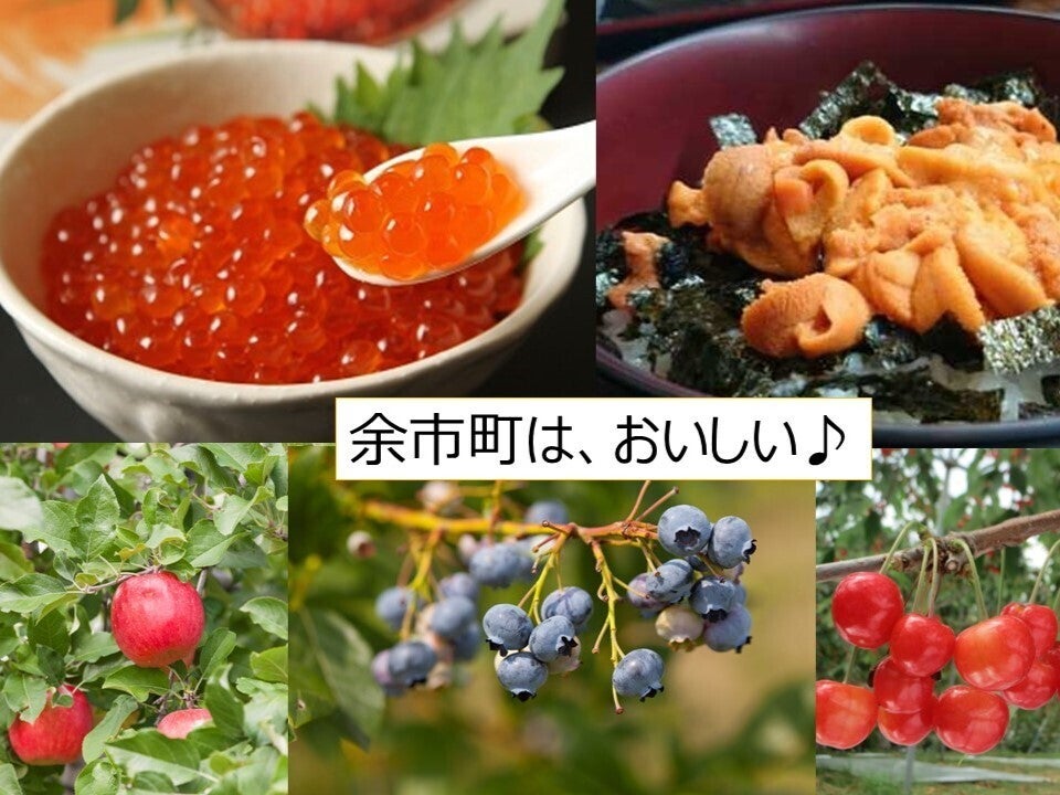 北海道余市町で「食べて、泊まれる、町なかワイナリー」をつくる