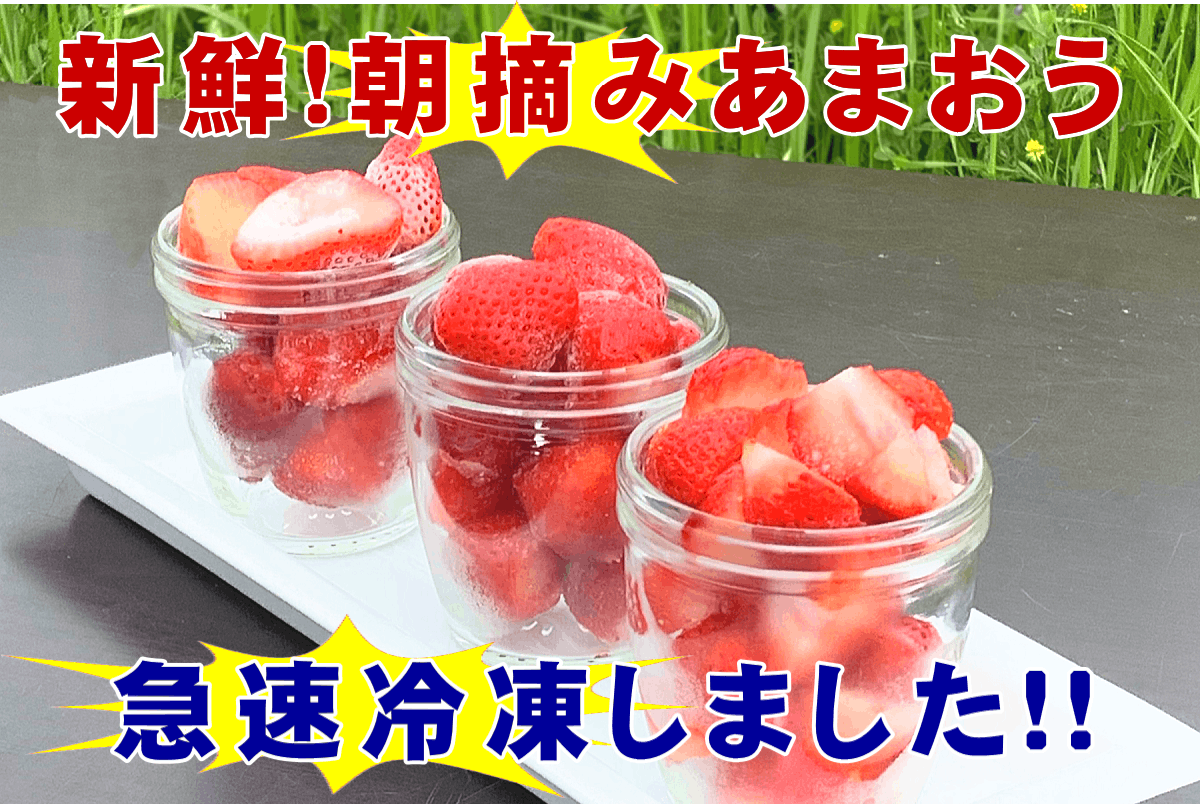 超早割あり！新鮮なまま【冷凍あまおう】をお届けします♪収穫した日に