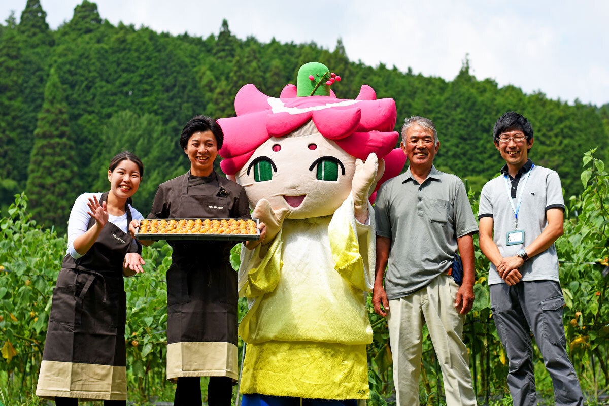 お菓子で茨城の魅力さ！伝えっぺ!「DALMAISON OPEN ！」 - CAMPFIRE