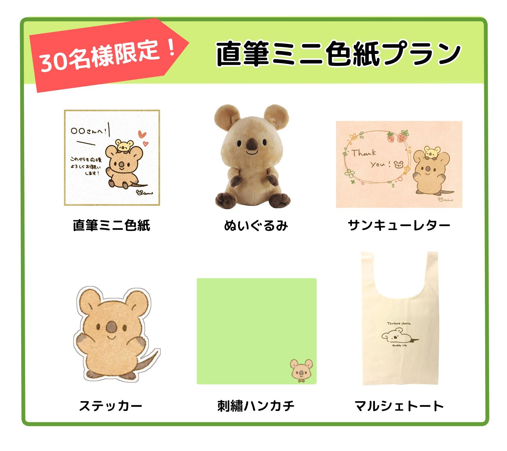きくお kikuo クラファン返礼品 ぬいぐるみ きくお」ぬいぐるみプロジェクト！ - CAMPFIRE (キャンプファイヤー)