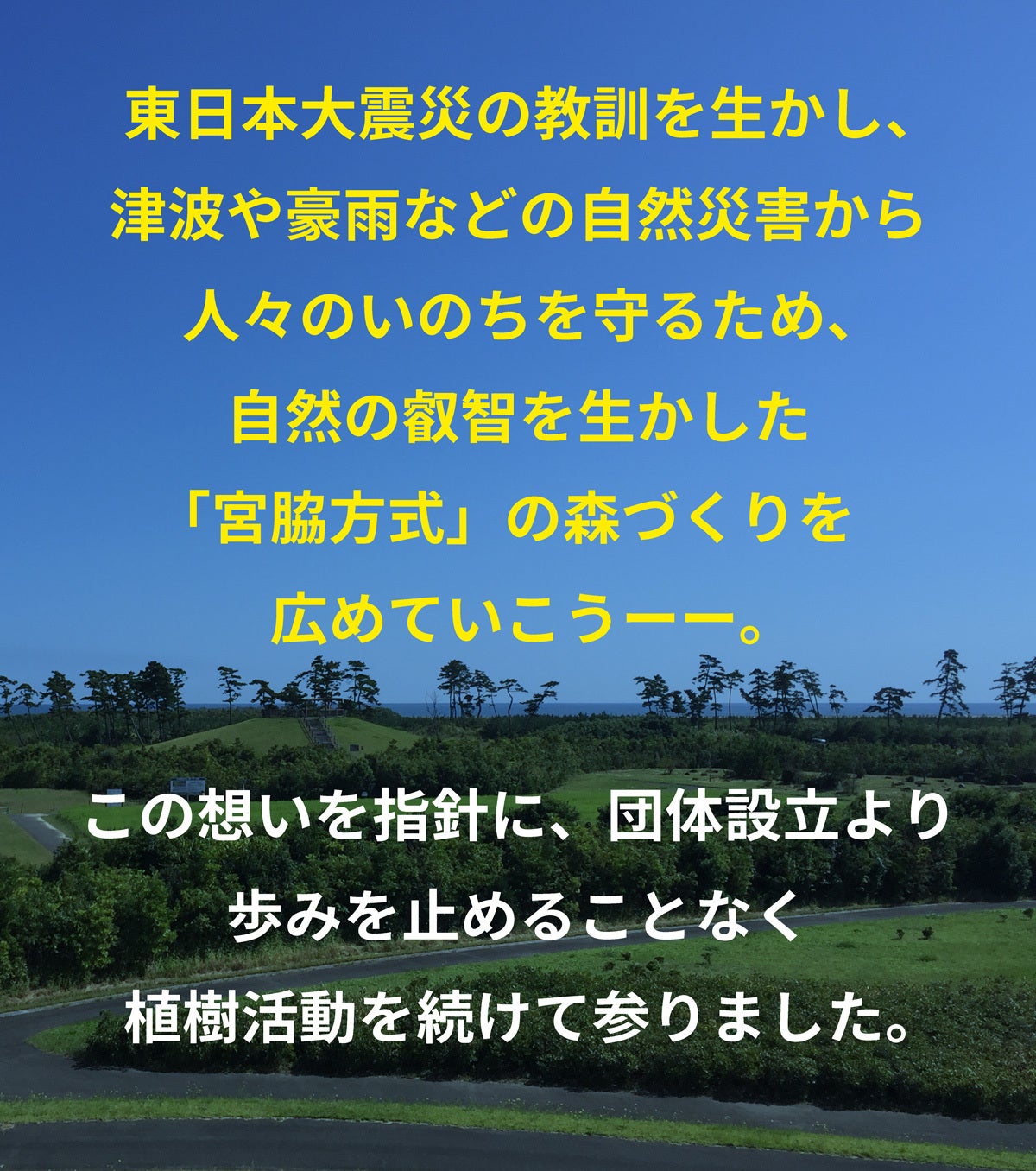 森の防潮堤で自然災害からいのちを守る|細川護熙元首相×宮脇昭博士 森の防潮堤で自然災害からいのちを守る|細川護熙元首相×宮脇昭博士