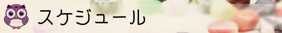 スケジュール