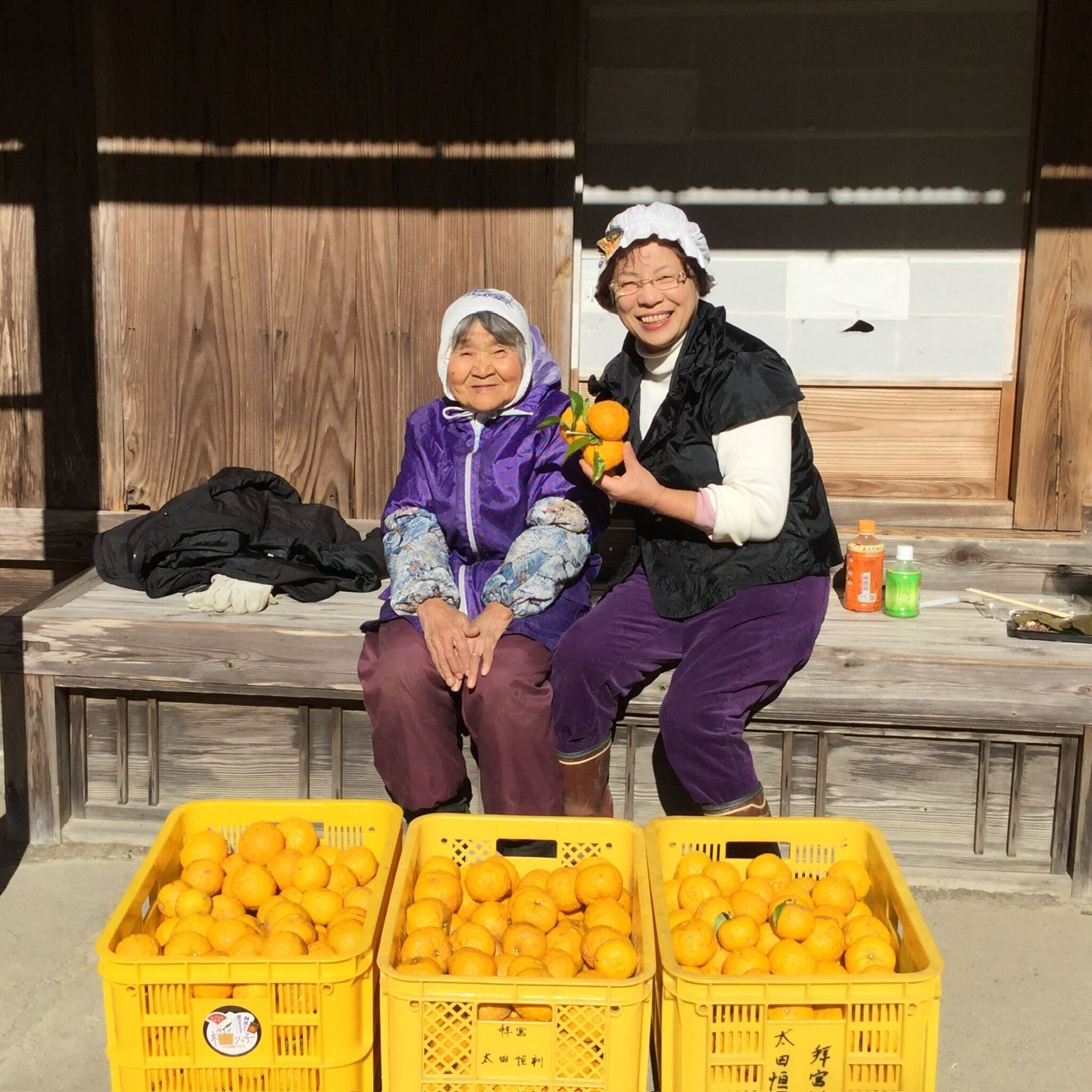 徳島の柚子農家さんを救うために収穫し続けた柚子をたくさんの方に食べ