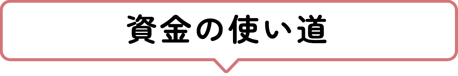 資金の使い道