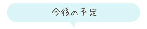 今後の予定