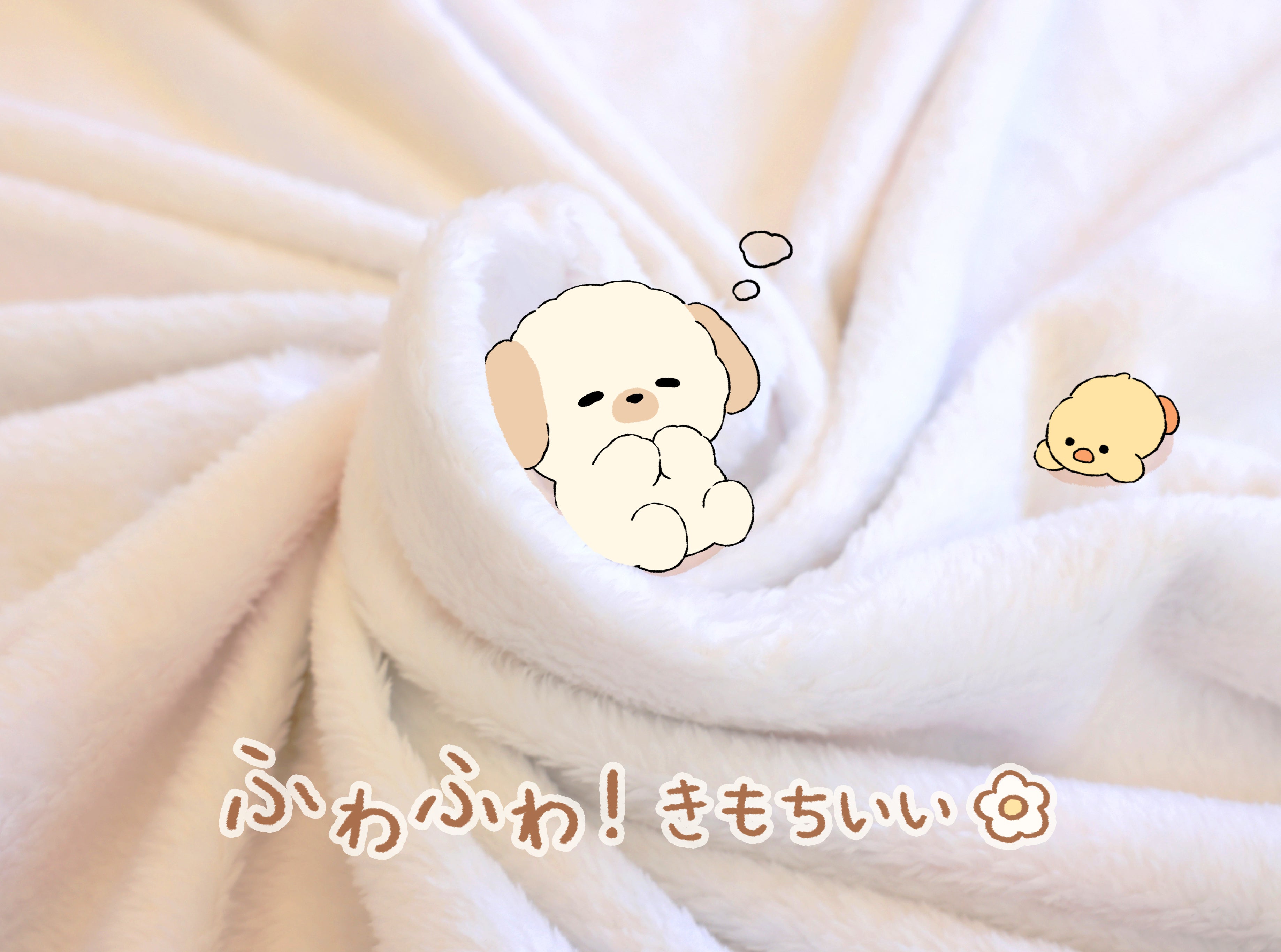 ぬいぬいフレンズふわふわブランケットプロジェクト！ - CAMPFIRE