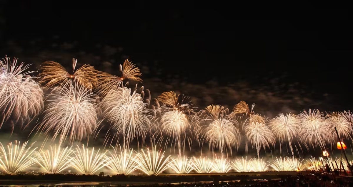 長岡花火｜特別観覧席もご用意！ あなたの支援が復興祈願花火フェニックスの糧に！ - CAMPFIRE (キャンプファイヤー)