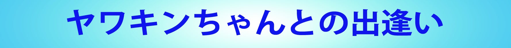 ヤワキンちゃんとの出逢い