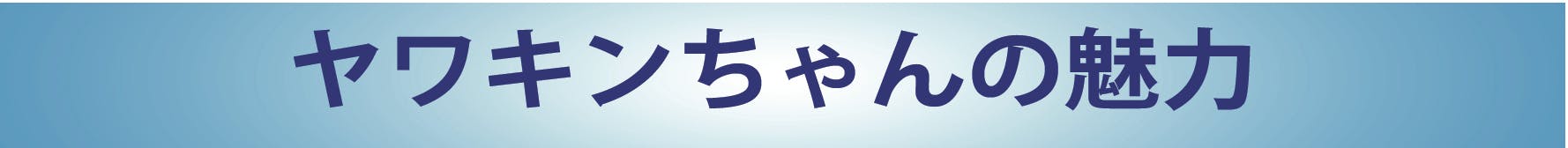 ヤワキンちゃんの魅力