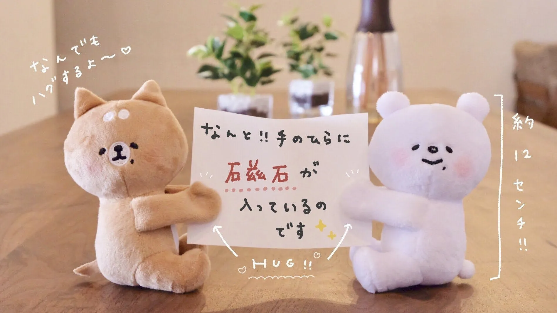 しろくまななみん おしばさまハグするぬいぐるみプロジェクト Campfire キャンプファイヤー しろくまななみん おしばさまハグするぬいぐるみプロジェクト Campfire キャンプファイヤー