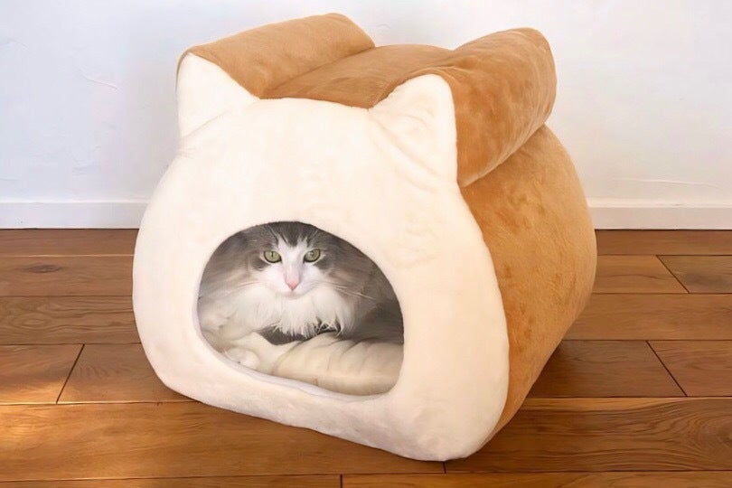 ねこねこ食パンのもふもふハウス」商品化プロジェクト - CAMPFIRE