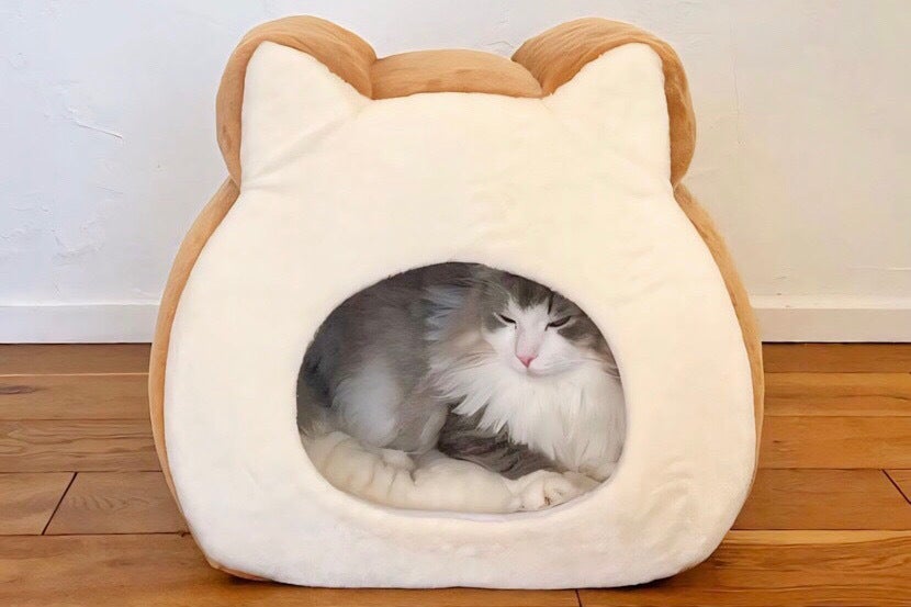 ねこねこ食パンのもふもふハウス」商品化プロジェクト - CAMPFIRE