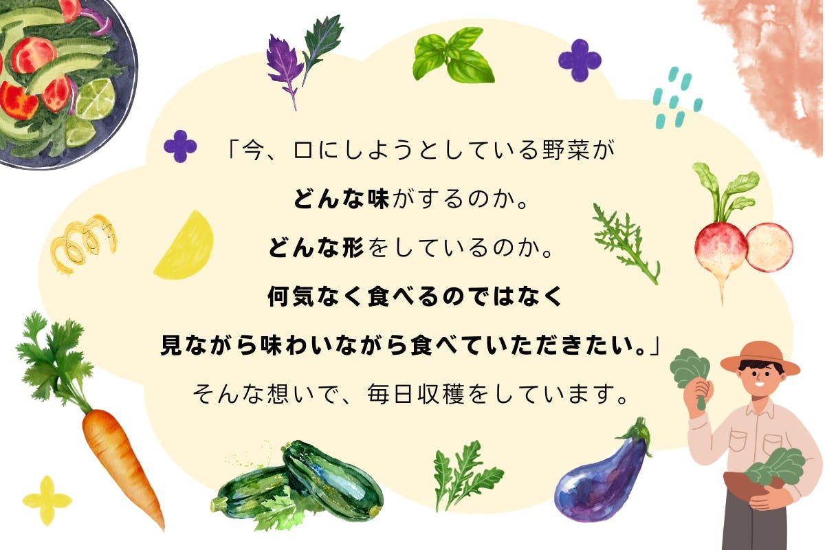 「今口にしようとしている野菜が、どんな味がするのか。どんな形をしているのか。  何気なく食べるのではなく、見ながら・味わいながら食べていただきたい。  そんな想いで、毎日収穫をしています。」