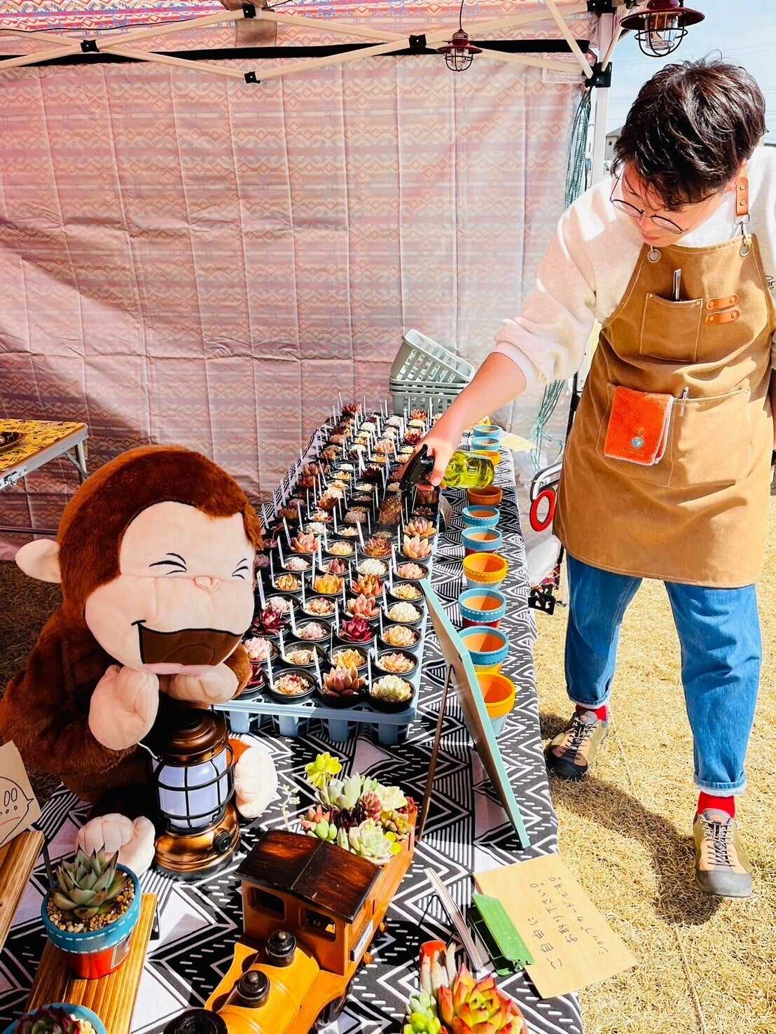 47都道府県で多肉植物の移動販売がしたい！！ - CAMPFIRE (キャンプ