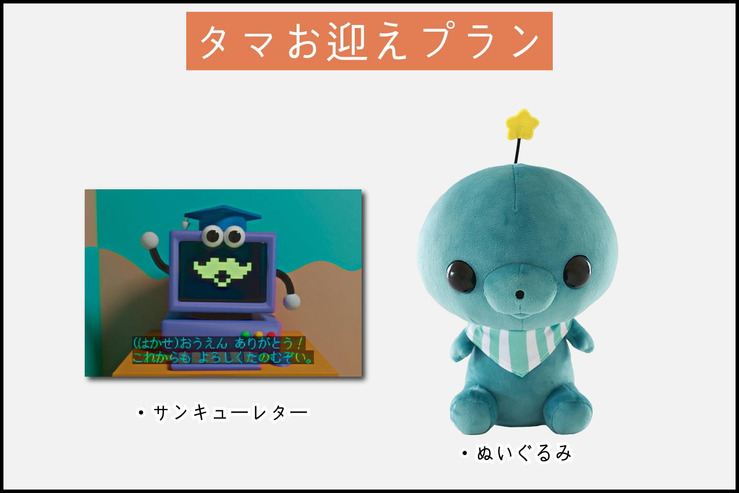 教育番組 タマ ぬいぐるみ化企画 - CAMPFIRE (キャンプファイヤー) 教育番組 タマ ぬいぐるみ化企画 - CAMPFIRE (キャンプファイヤー)