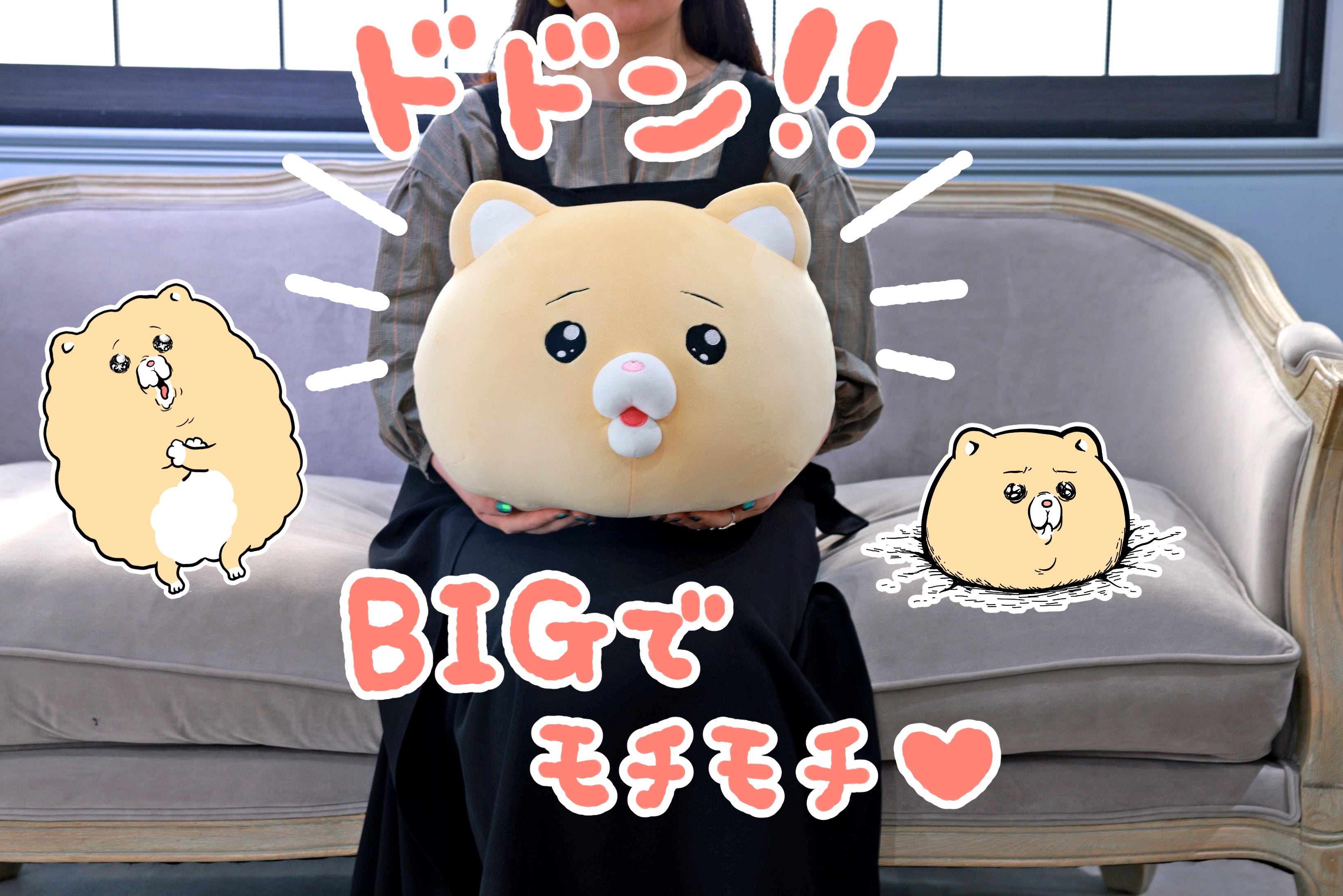 モフ缶 ポンちゃんクッションとキィちゃんぬいぐるみセット【未開封】 泣きむし猫のキィちゃんクッション化プロジェクト - CAMPFIRE