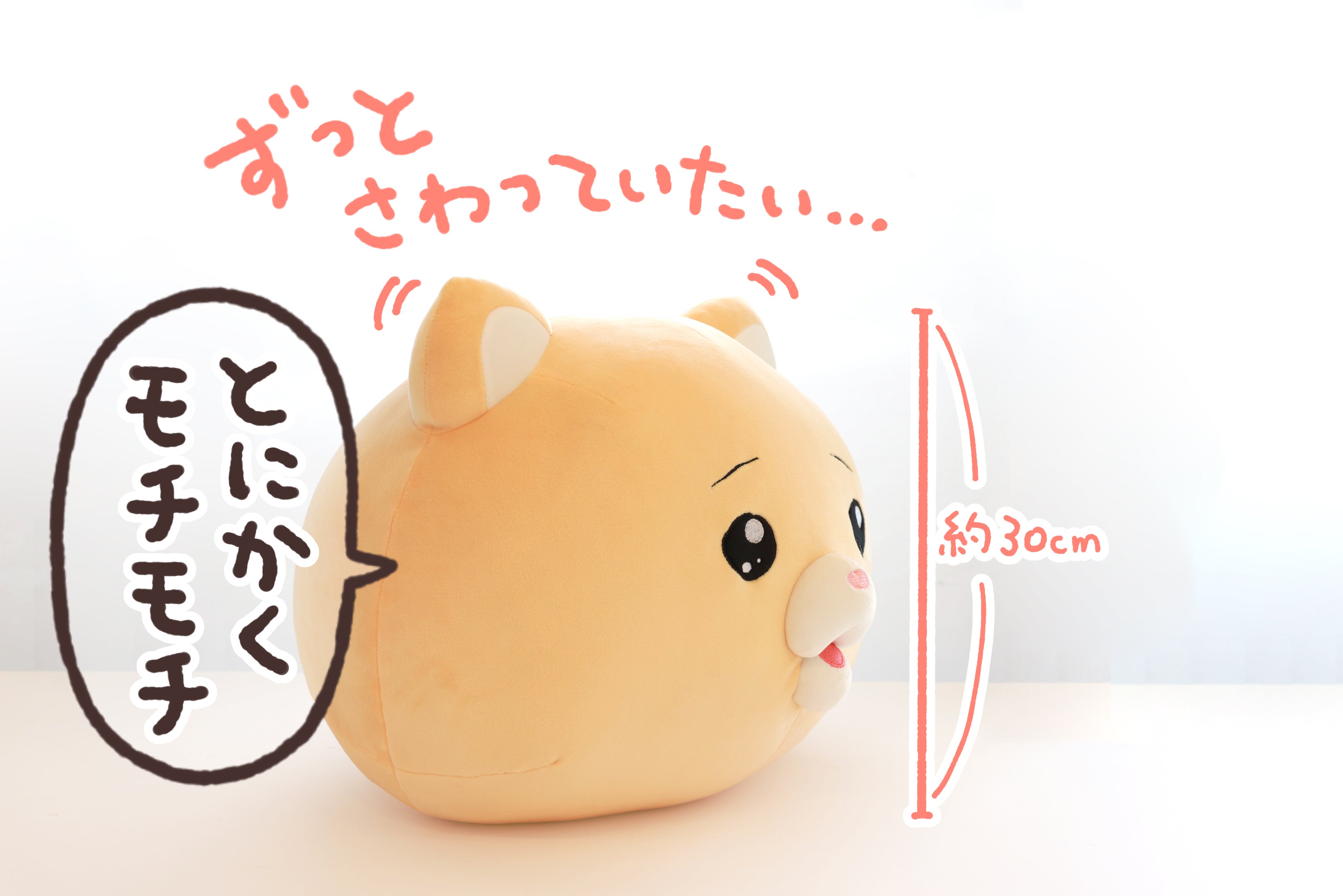 生後15日♡泣き虫子猫ちゃん♡アートドール♡ぬいぐるみ♡むぎゅサイズ♡ 泣きむし猫のキィちゃんクッション化プロジェクト - CAMPFIRE